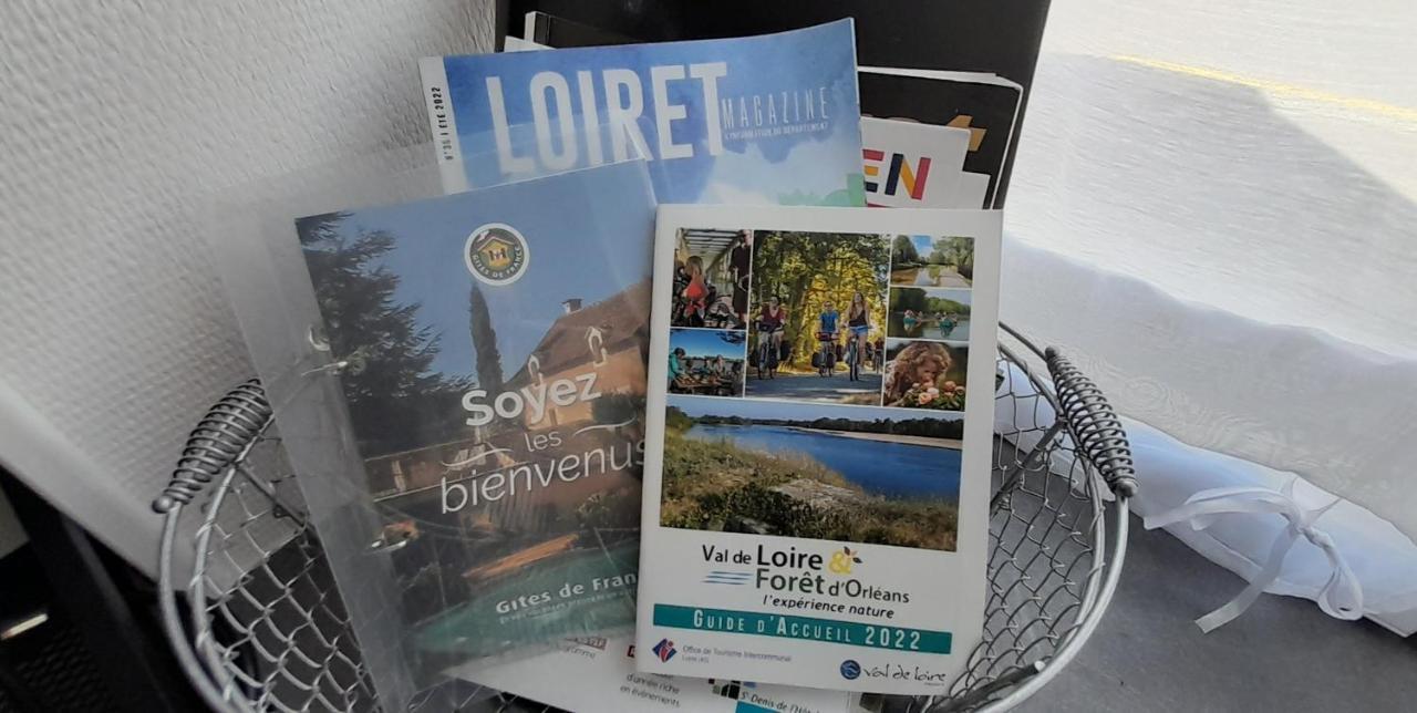 Studio Le Ligerien Saint-Denis-de lʼHôtel Εξωτερικό φωτογραφία